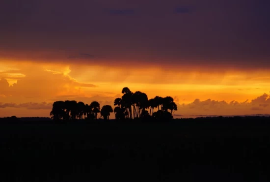 Discovering Okeechobee, FL: An Introduction to the City and its Captivating Weather