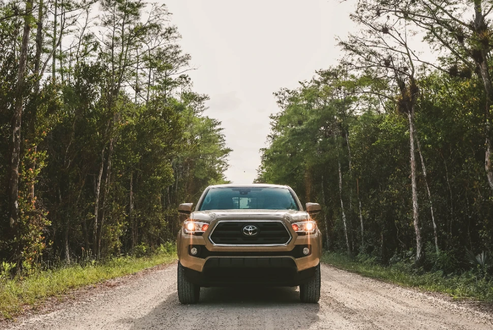 Embark on an Adventurous Journey: Road Trips from Okeechobee, FL