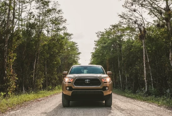 Embark on an Adventurous Journey: Road Trips from Okeechobee, FL